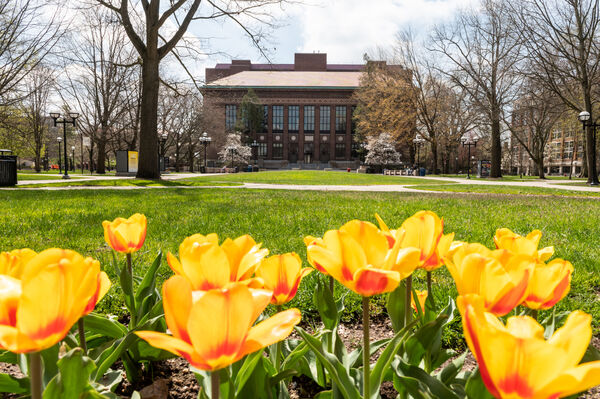 The Diag with flowers in the spring