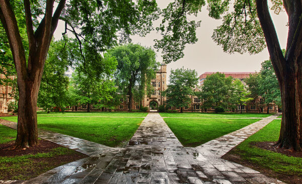 The courtyard with trees in the summer