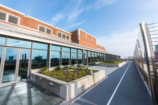 A rooftop pavilion with raised garden beds
