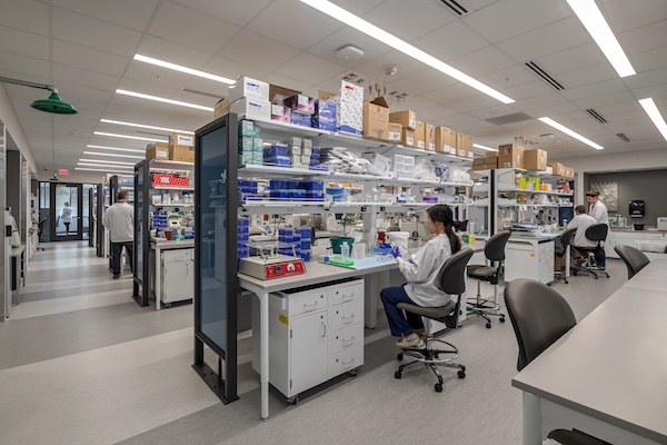 Researchers working in a lab